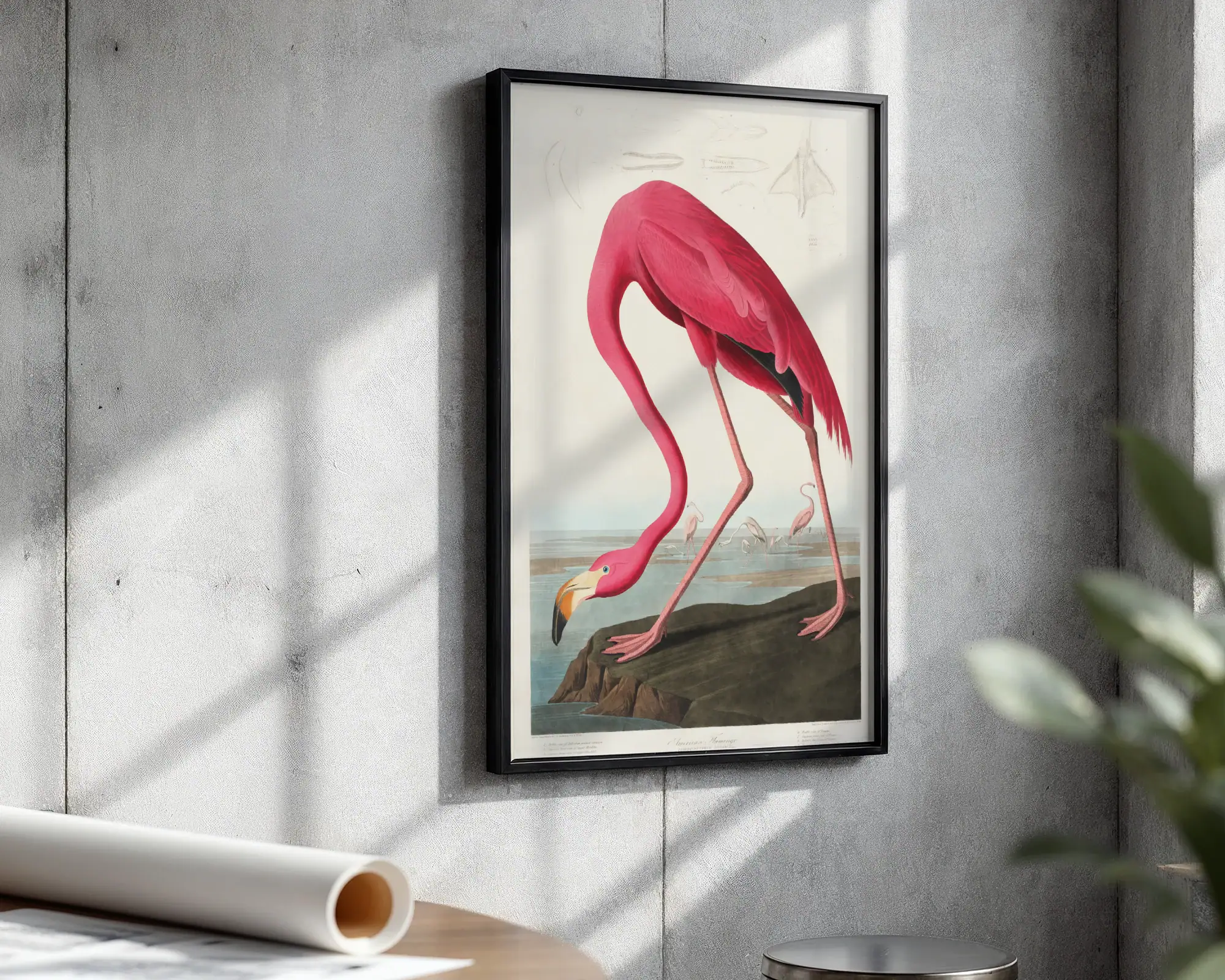 Pembe Flamingo - Görsel 4