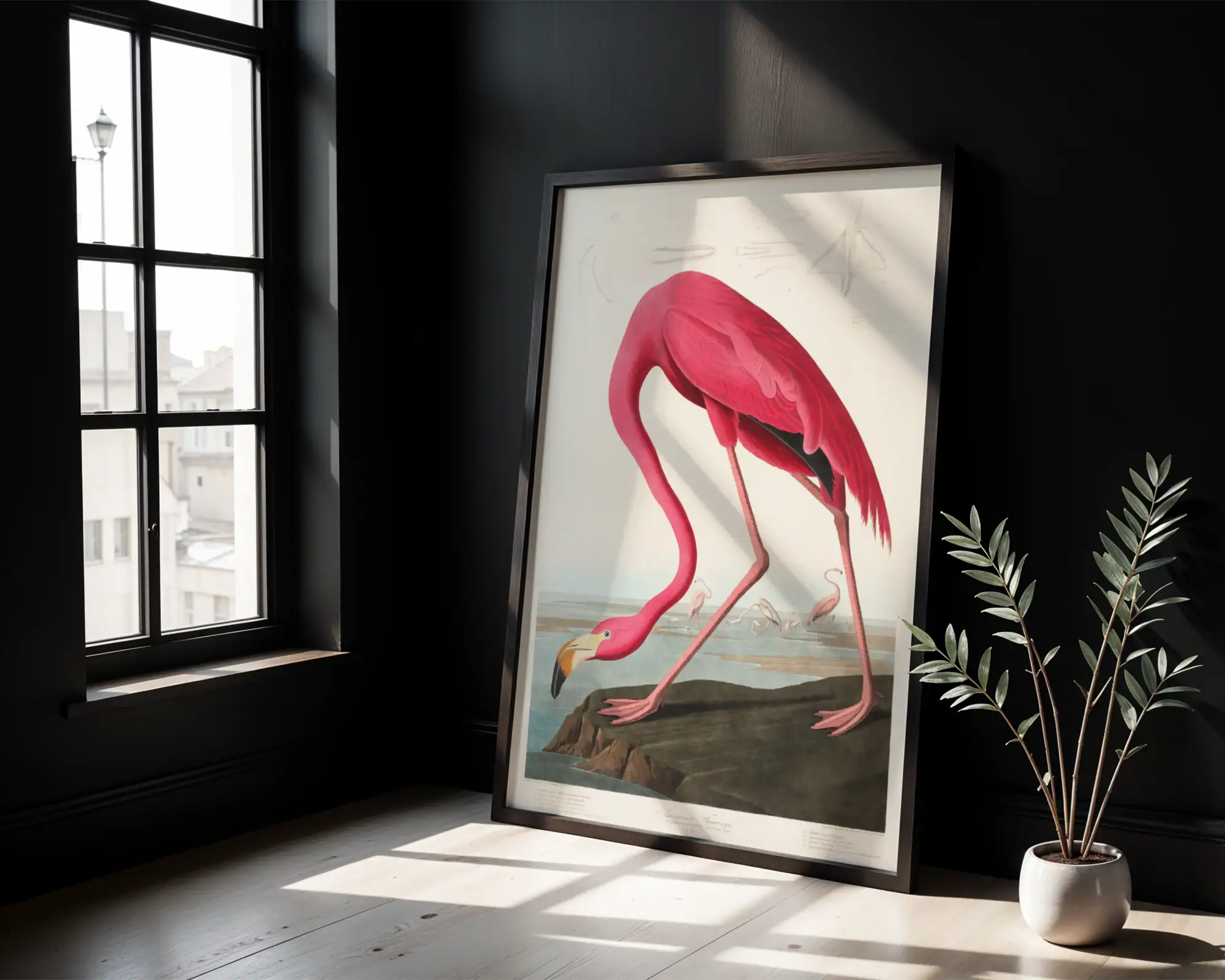 Pembe Flamingo - Görsel 3