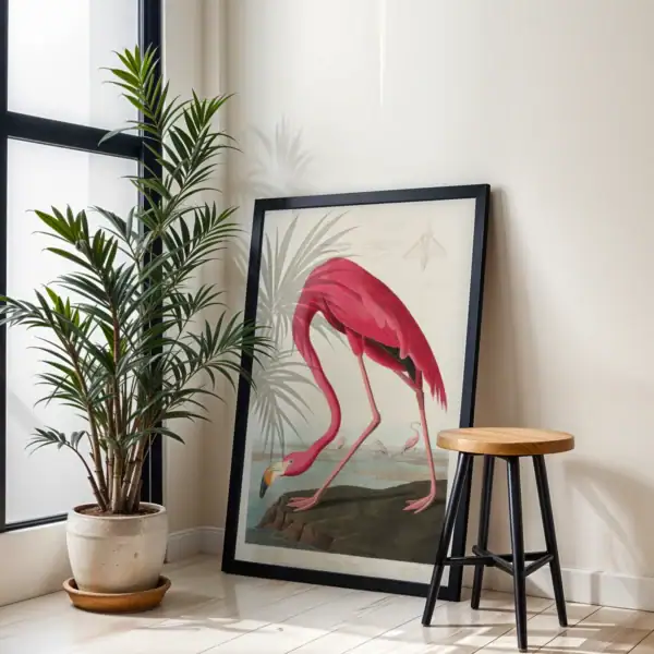 Alternative view of Pembe Flamingo