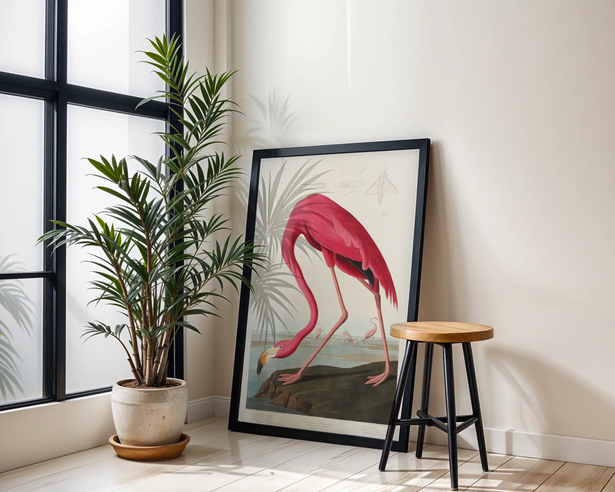 Pembe Flamingo - Görsel 2